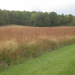 (Eastern Ecotype Native Grass Mix) fourth year & beyond