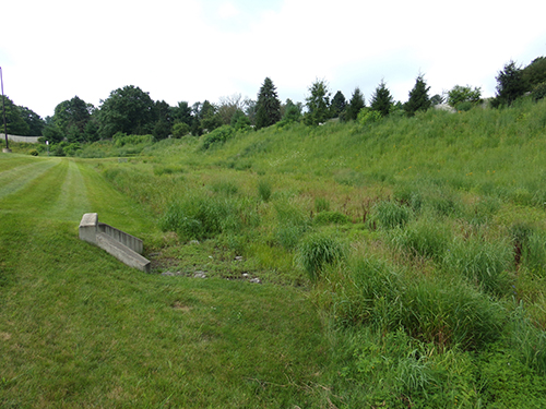 (Retention Basin Wildlife Mix) fourth year & beyond