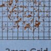 Juncus effusus (Soft Rush) seed