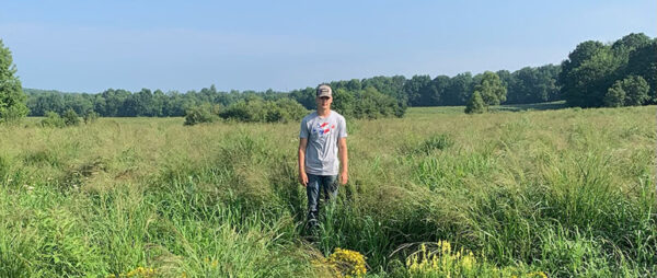 Panicum virgatum, 'Habitat'-NJ Ecotype (Switchgrass, 'Habitat'-NJ Ecotype) production field