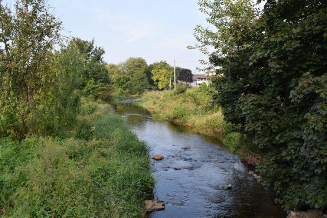 Mill Creek flows through a riparian buffer on the Mahlon Stoltzfus farm in New Holland, Pennsylvania. Trees and shrubs along stream banks prevent erosion and shade the water. (Photo by Philip Gruber)