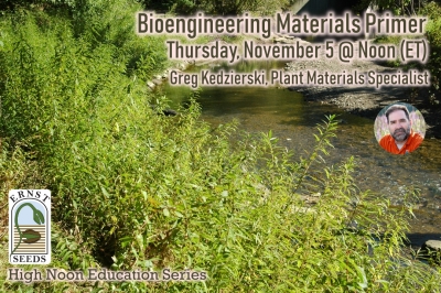 Join us for “Bioengineering Materials Primer” on November 5 at Noon