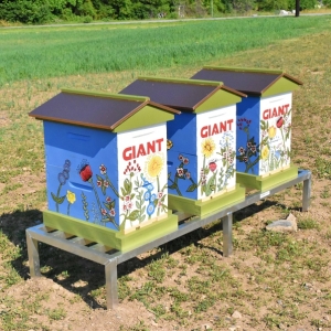 GIANT Company bee hives