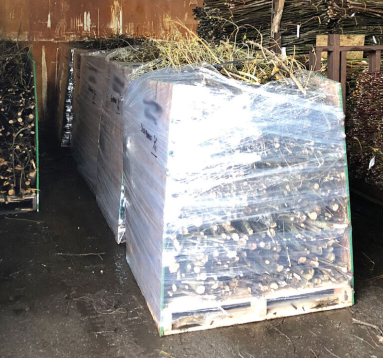 Bioengineering materials packed for shipping