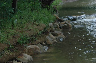 Embankment of a creek