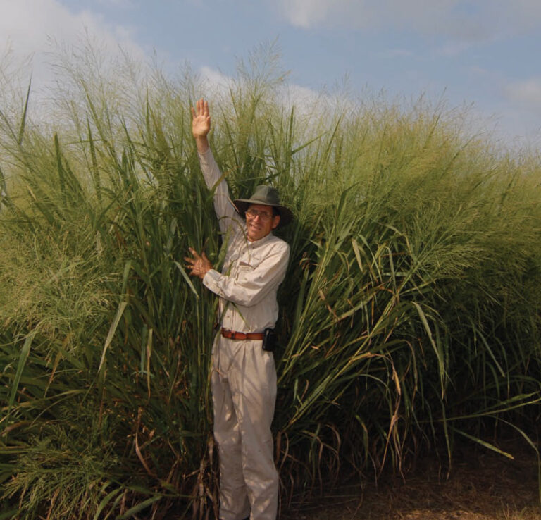 Employee next to tall grass