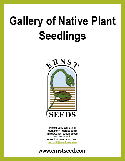 Gallery of Seedings