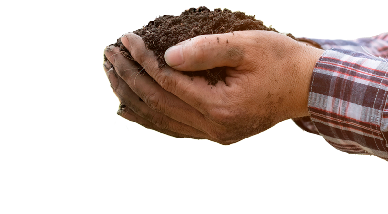 Hands holding dirt
