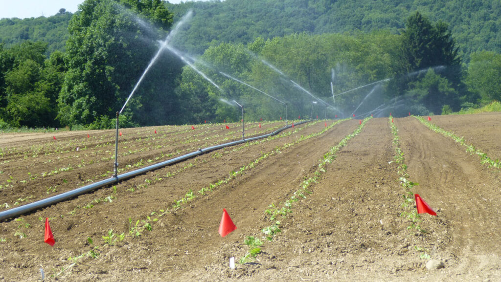Large farmland demonstrating the water infiltration rate