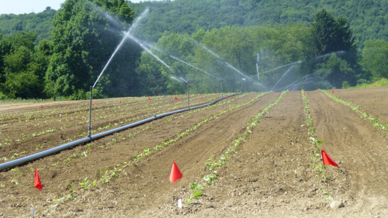 Large farmland demonstrating the water infiltration rate