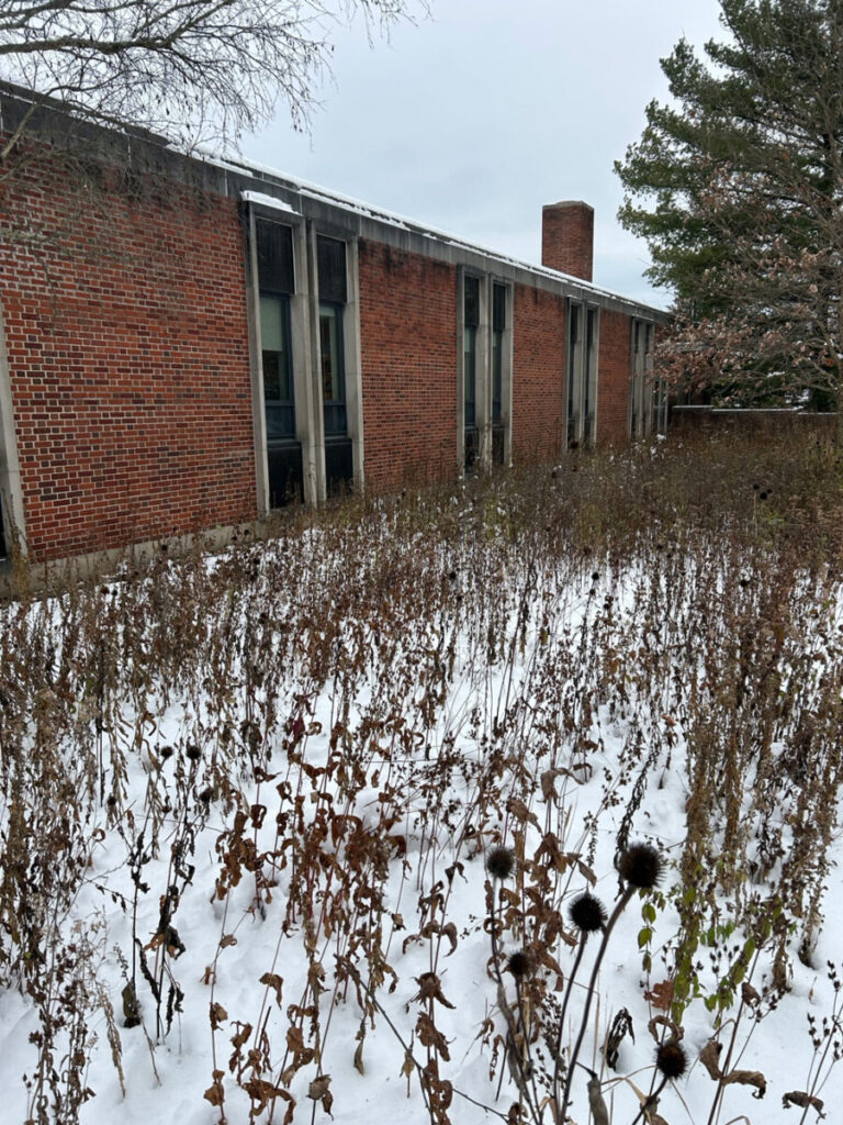 native plantings dormant season