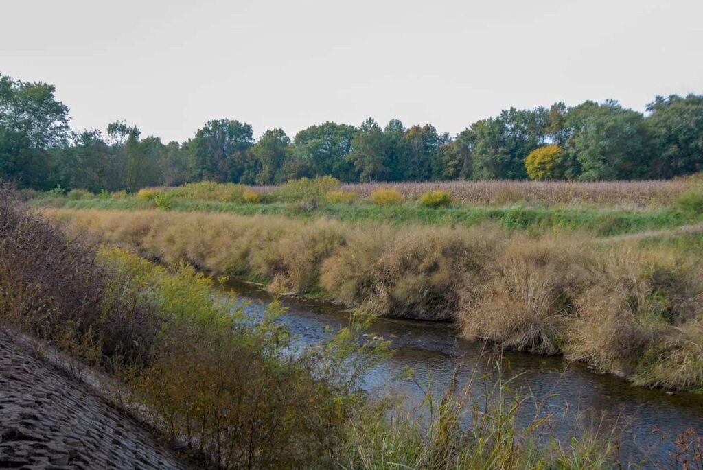 Riparian Area And Buffer Strip With Bio